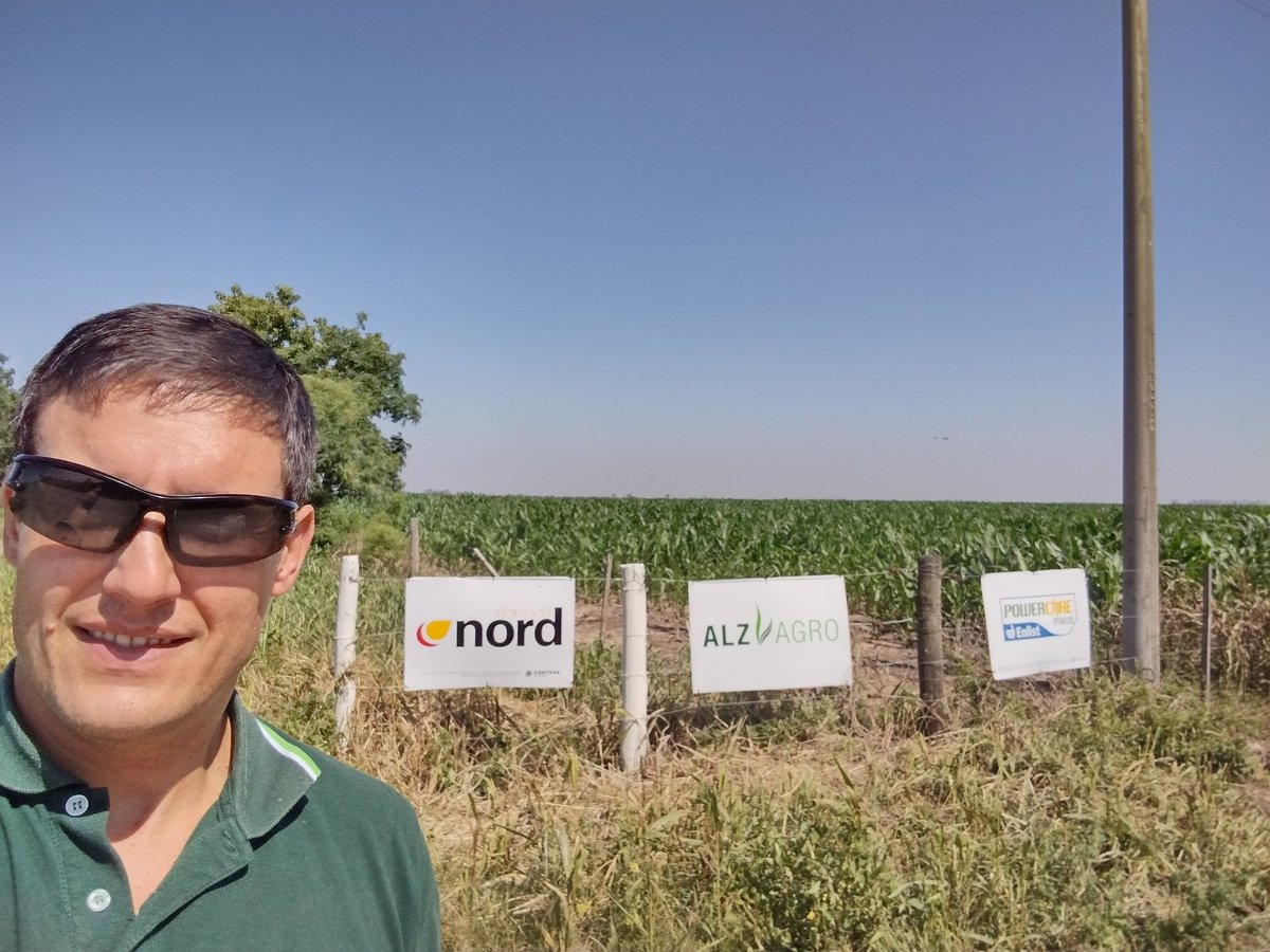 ImhoffDiego's tweet photo. Bórax pwue en la localidad de Freyre (cba), productor de la cooperativa de Freyre ; excelente desarrollo y se espera un muy buen rendimiento de silo.
@ALZ_Agro @semillasnord https://t.co/Qzmbiw29oK