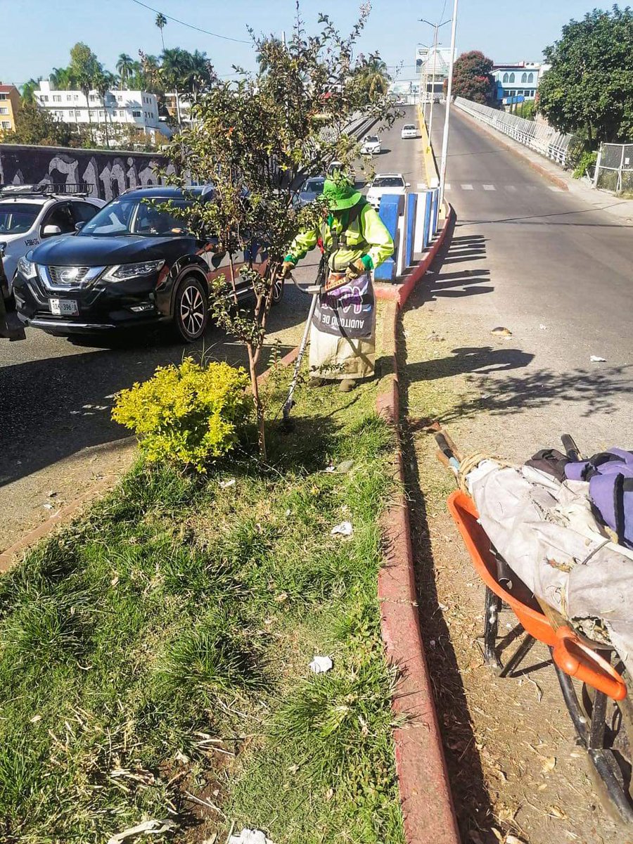 SDSySPCuerna's tweet photo. 📍Av. Vicente Guerrero 
📍Av. Lomas de Ahuatlán, Col. Lomas de Ahuatlán 
📍Av. Heroico Colegio Militar 
📍Puente 2000 
📍Av. Alvaro Obregón 
📍Monumento a la Revolución 
📍Díaz Ordaz, Col. Satélite 
📍Río Mayo, col. Vista Hermosa

Ayúdanos a conservar la ciudad limpia y bonita https://t.co/LkLt5E81fi