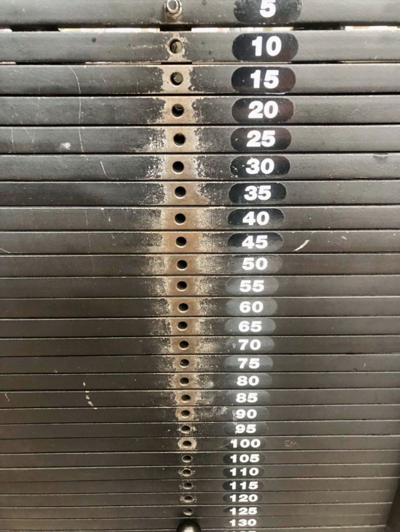 Gauss🤝🏽gymbros