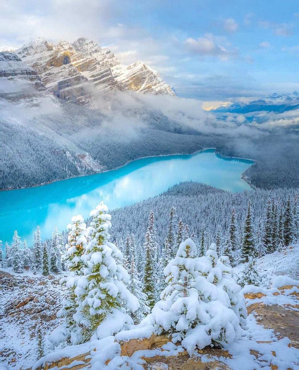 Peyto Lake Alberta Canada