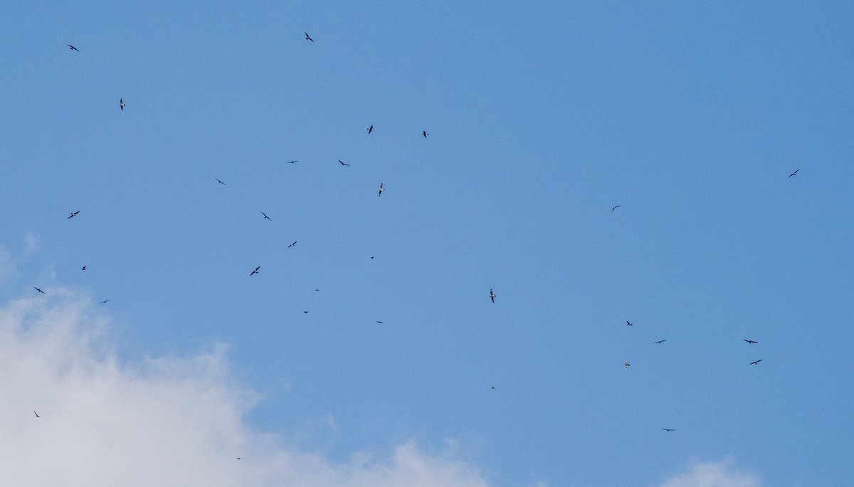 ๐ญ๐๐๐๐ ๐๐ ๐ญ๐๐๐๐๐ tweet media