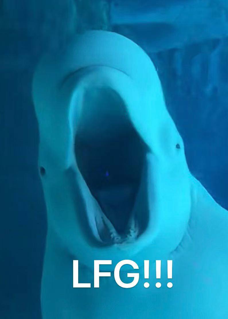 TankKoYJ's tweet photo. @0XPFKOTH whale $Andy https://t.co/Z1U6xIUThe