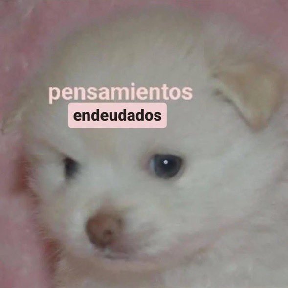 Guarromantico_'s tweet photo. Diciembre                //           Enero https://t.co/hhK0AxWMvR