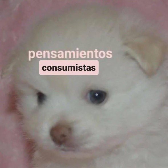 Guarromantico_'s tweet photo. Diciembre                //           Enero https://t.co/hhK0AxWMvR