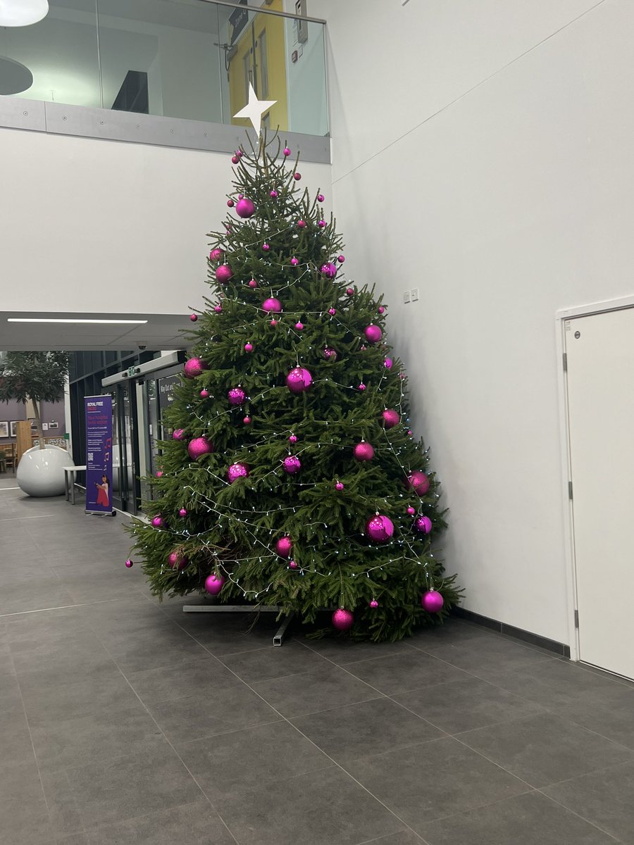 Gabrielle Leyshon (@gabrielleleysho) on Twitter photo Exciting! The tree is up at Chase Farm! <a href="/MBozier/">Michelle bozier</a> <a href="/Matthew33866234/">Matthew Sykes</a> <a href="/RoyalFreeNHS/">Royal Free London</a> Exciting! The tree is up at Chase Farm! <a href="/MBozier/">Michelle bozier</a> <a href="/Matthew33866234/">Matthew Sykes</a> <a href="/RoyalFreeNHS/">Royal Free London</a>