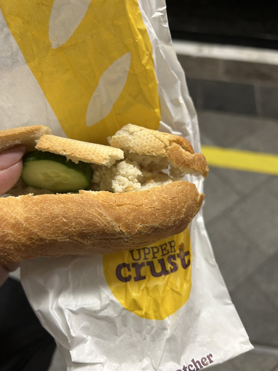 Amanda Barbera tweet media