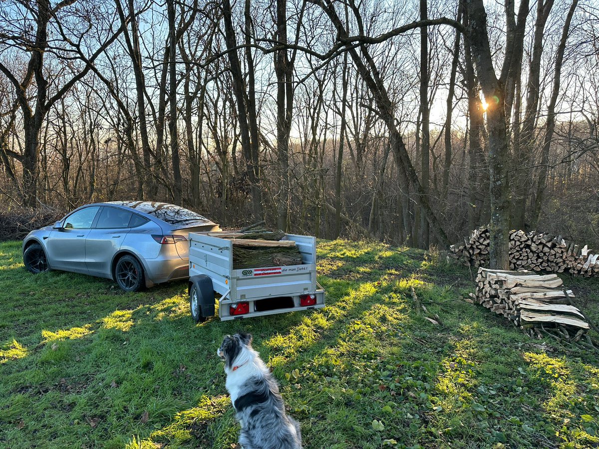 GM! Getting some fire wood for the cold days the sustainable way ⚡️ hope <a href="/cybertruck/">Cybertruck</a> will soon come to Europe so I can power my electric table saw in the forest 🪚