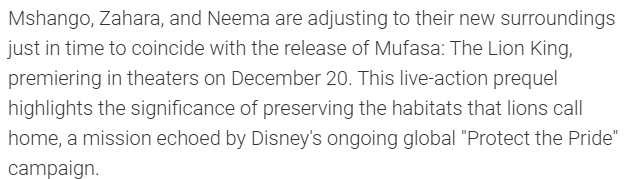 We all know what happened with $BAKSO

The big difference is BAKSO isn't even available for the public to view

$MSHANGO is = more pictures of him coming

Also Disney introduced Mshango to coincide with their live action release of Lion King

Mshango = Mufasa = Lion king

🦁