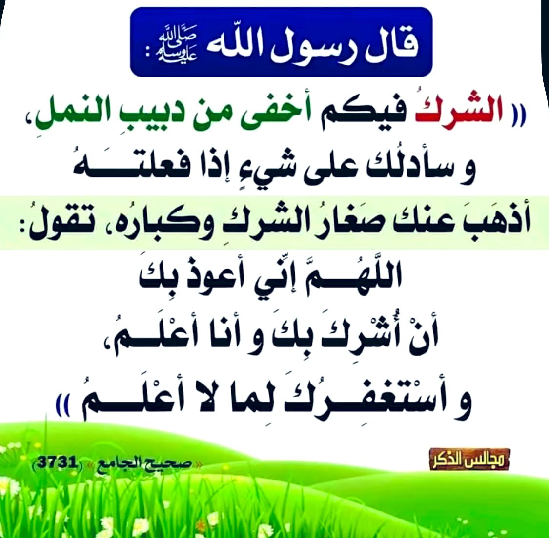 الكَلِمُ الطَّيِّب (@saeedalkamali11) on Twitter photo 
