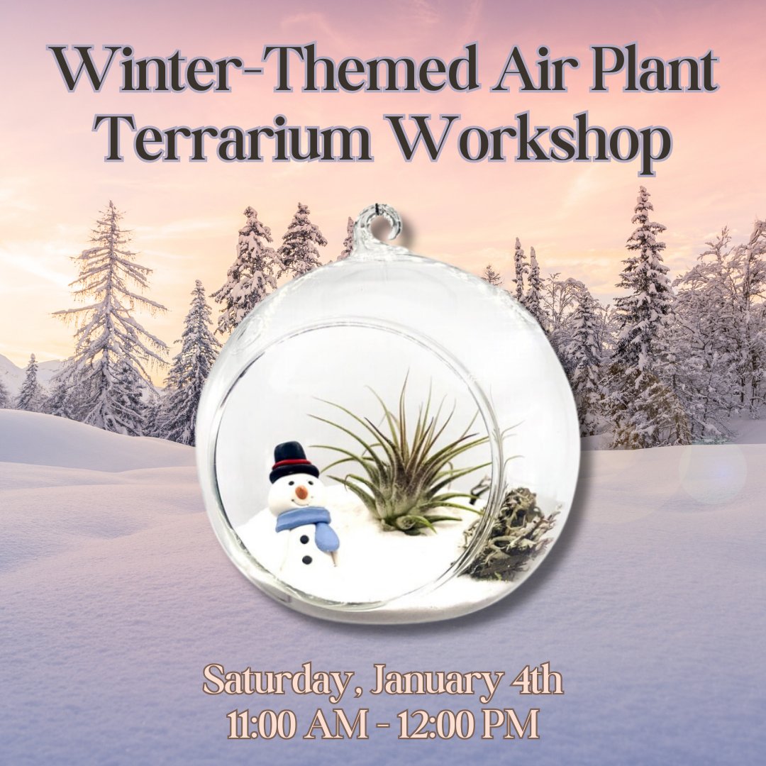 Tweens, teens, and adults: bring nature indoors by crafting your very own winter-themed air plant creation.  All supplies are provided, but you can bring your very own decorative accents to give your terrarium a personal touch. 
Register: calendar.libraryweb.org/event/13071210