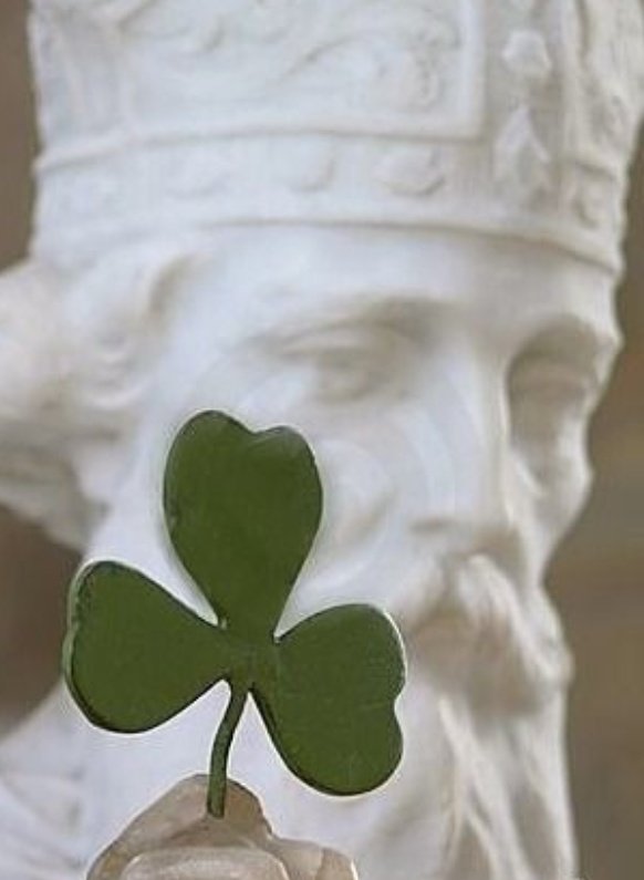 ♱ gearóid óg tweet media