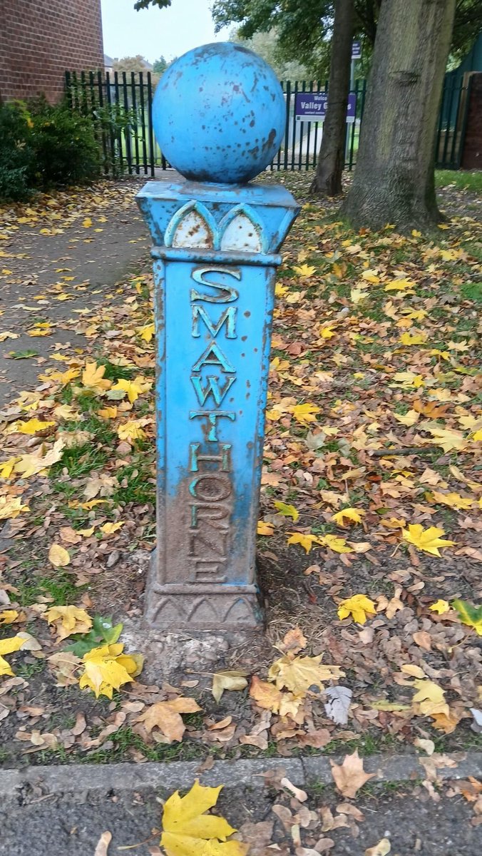 Valley Gardens Castleford tweet media