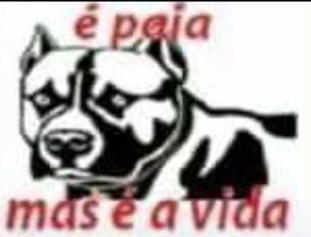 Frases aleatórias em baixa qualidade (@fraseslowqualit) on Twitter photo 