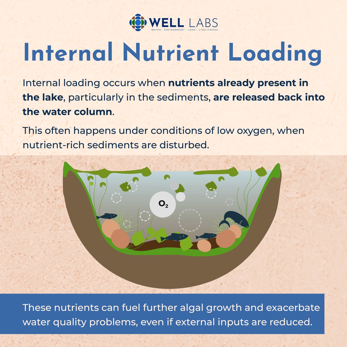 WELL Labs tweet media