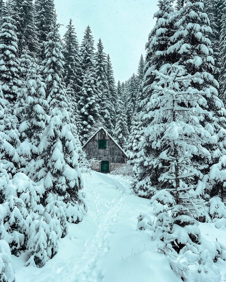 Can’t get enough of ❄️the first snow❄️ photos! ⛄️🧤

📸 IG @_alyona_ch 

#myguidemontenegro