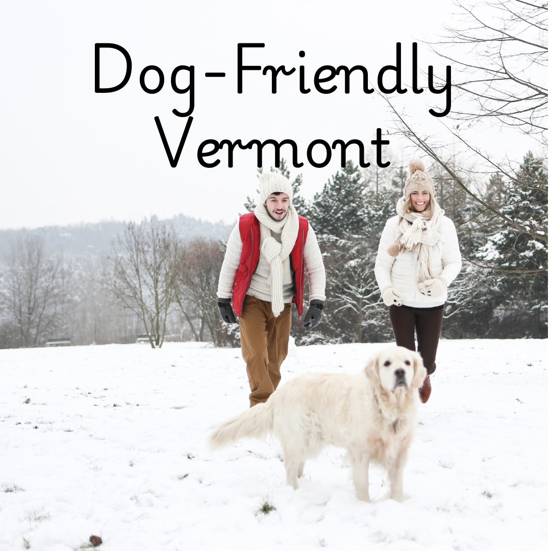 Dog Friendly Vermont Lodging bringmypet.com/states/vermont/ #dogfriendly #bromley #petfriendlyinns #Vermont #VermontPets #VermontResorts #VermontPetFriendly #VermontLodging #ThisisVT #VTLodging #PetTravel #Pets #Dogs