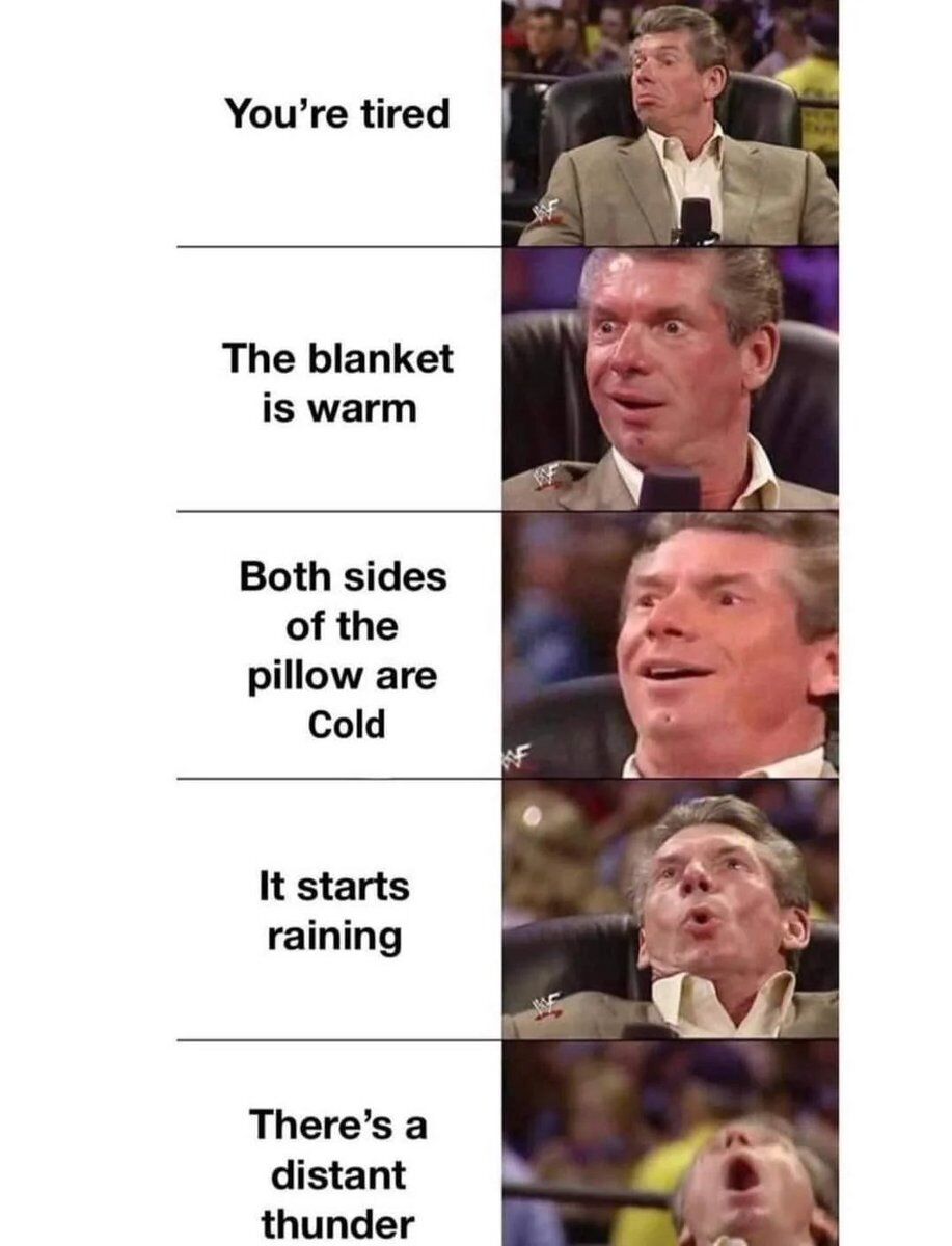 WholesomeMemes tweet media
