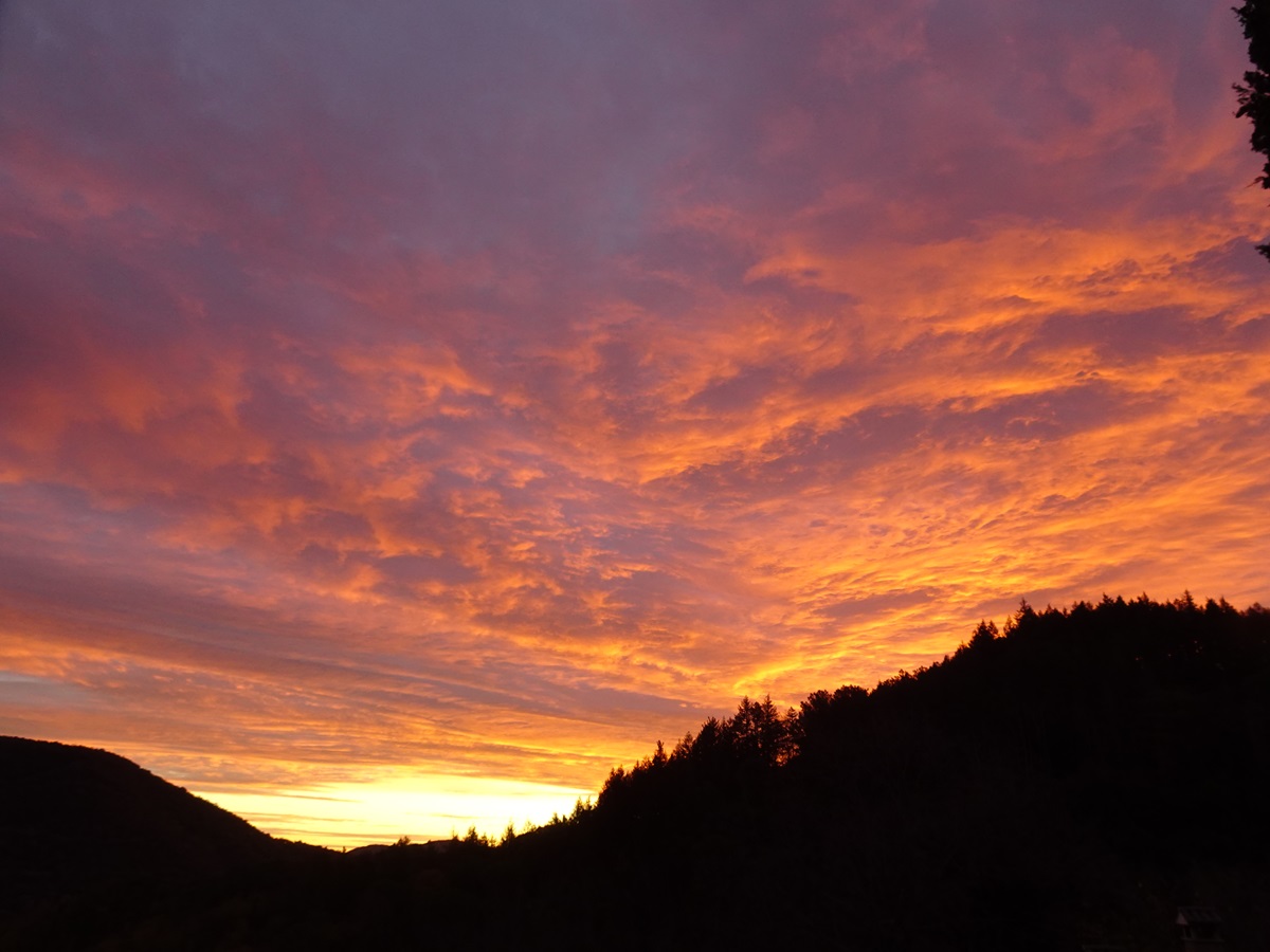 FelixtHart1's tweet photo. Preciosa albada aquest matí 😍😍
Bon cap de setmana a tothom!
#meteo #montseny #albada #amanecer #montseny #eltemps3cat #eltemps #meteocat #celrogenc
@meteocat @TomasMolinaB @AlfredRPico @gemmapuigf @alexmegapc @R_Geeb @angelgalanmont @MeteoGasso @Meteo_Roses @Meteoboig1 https://t.co/9JihpceZ8f