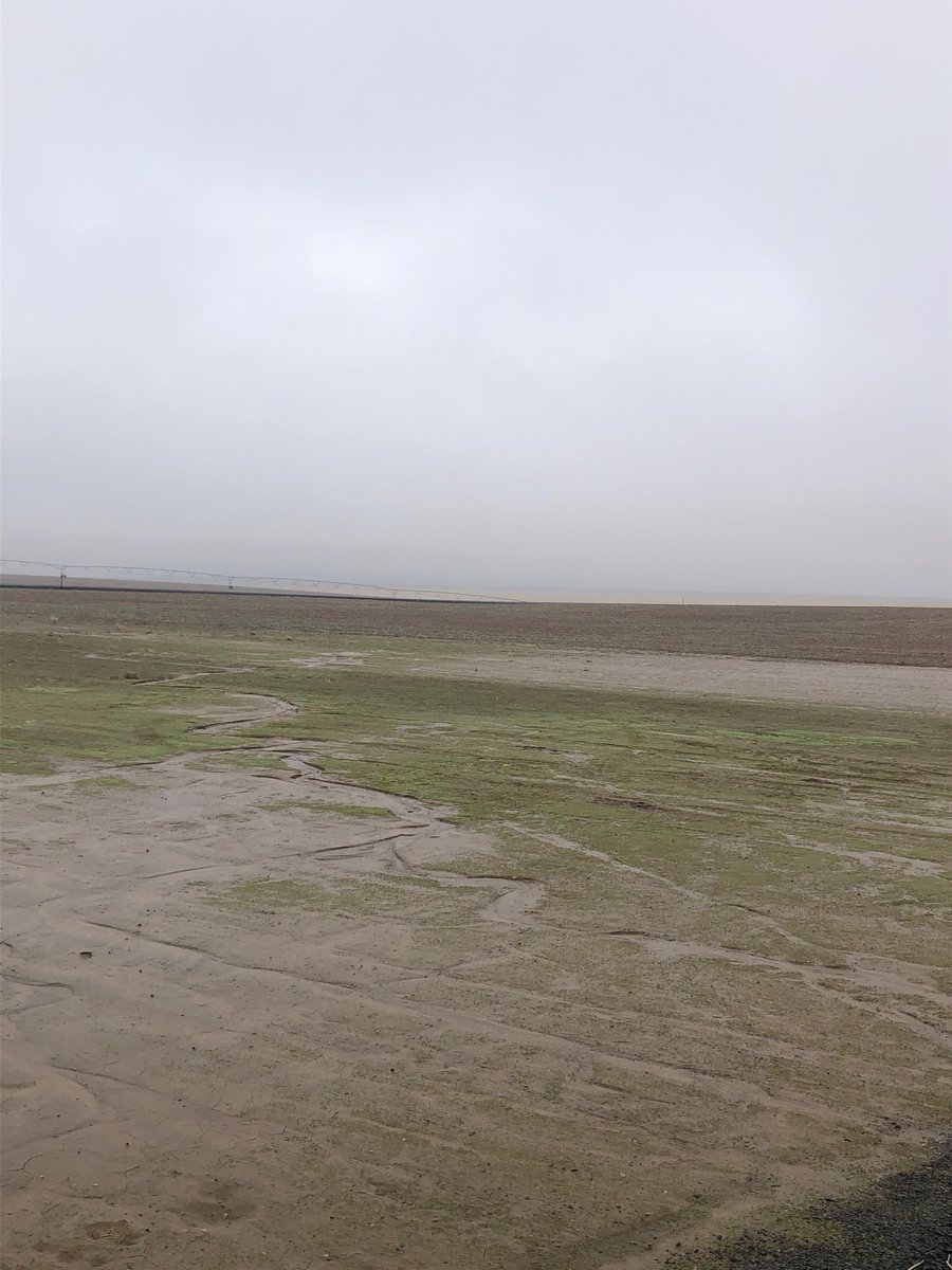 bschorzman's tweet photo. @snodgrss  here are some photos of the low clouds/fog in the Columbia basin.  I’m north east of Moses Lake.  It’s a light mist today and freezing to the roads, making black ice.  Thank you for all the weather updates https://t.co/EELSGRBflp