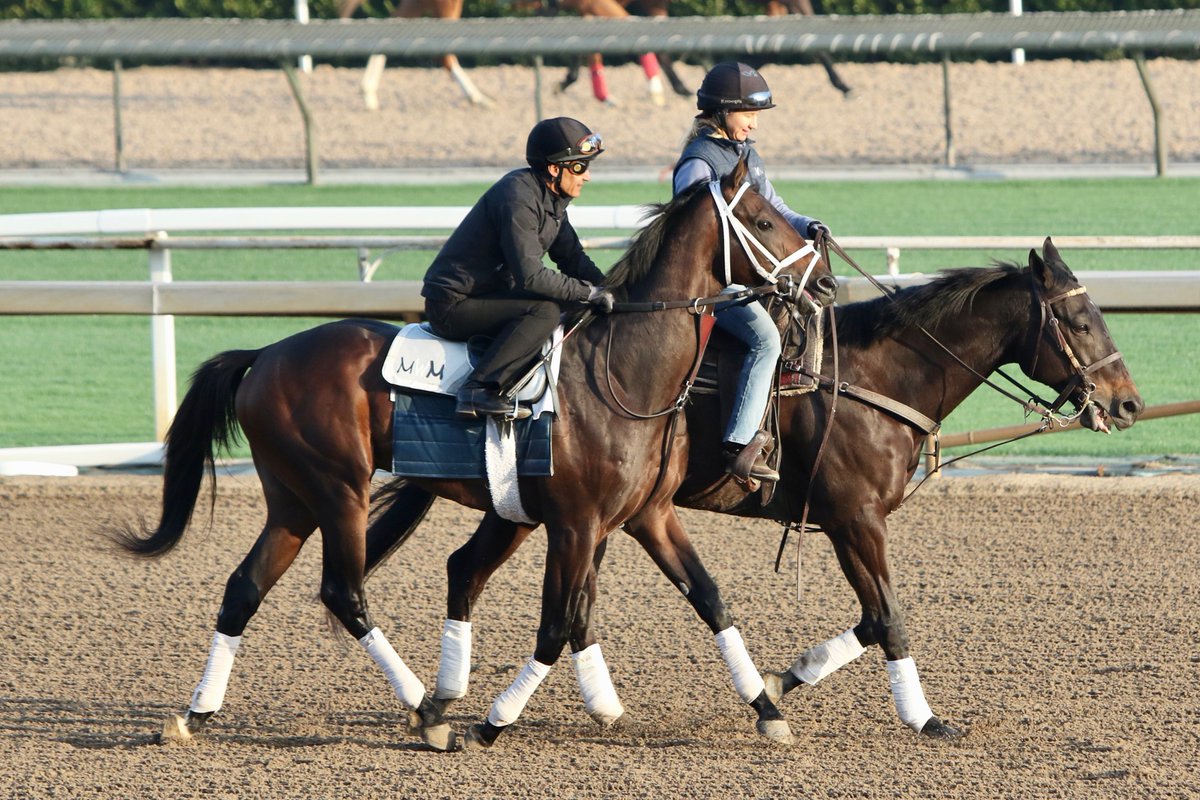 West Point Tbred tweet media