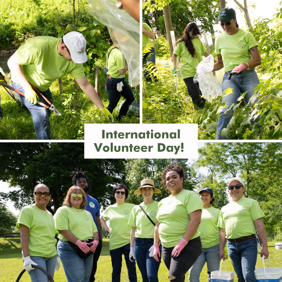 Central New York Community Foundation tweet media