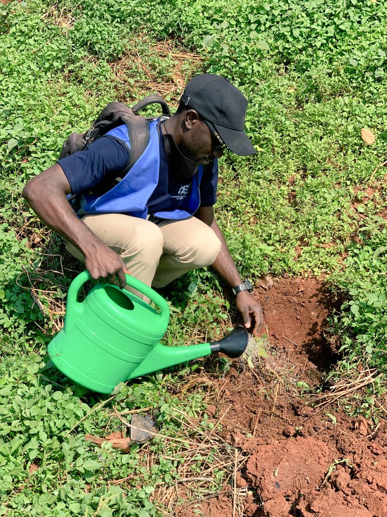 nkobazambogomak's tweet photo. Mu kuzaawo obutonde bwensi obutaaguddwataaguddwa ensagi zino, @CentralRotary, RSMUganda wamu ne Bannazambogo Makerere twongedde okusimba emiti mu nkola eyatongozebwa Owek @BobNsibirwa Amyuka Katikkiro Ow'Okubbiri eye  Kibira Kya Kabaka okwetoloola Ssettendekero @Makerere https://t.co/wfywQMZEWI
