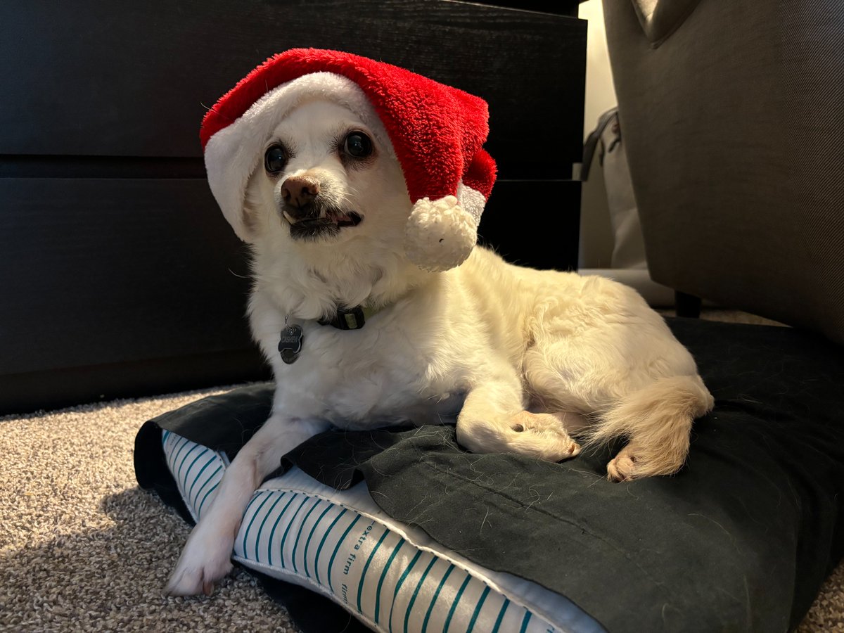 Cashew is excited to welcome the upcoming holidays. Happy Cashew Monday!