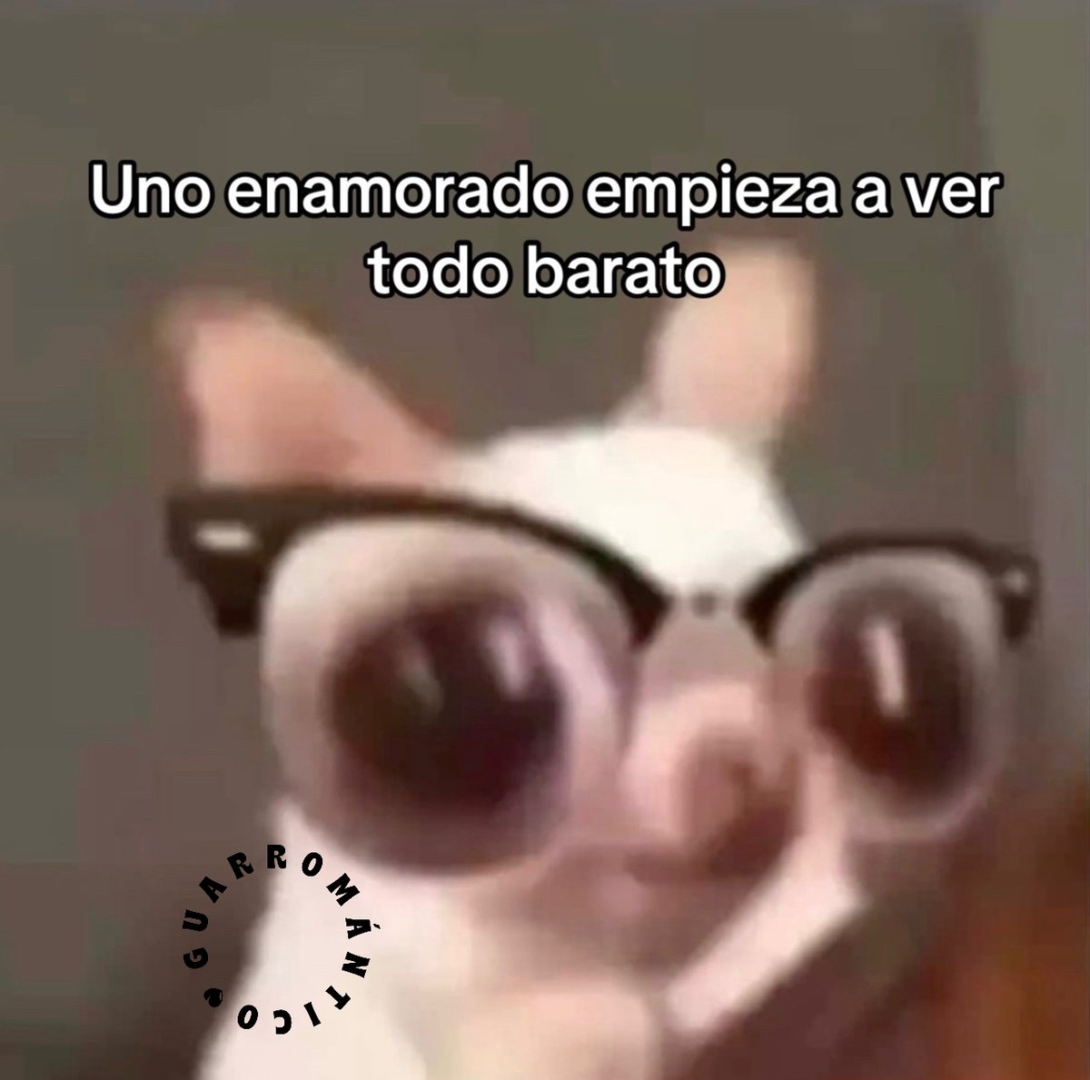 Guarromantico_ tweet picture