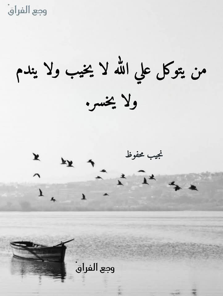 ابو ايهم الشلفي (@salshlfy27629) on Twitter photo 