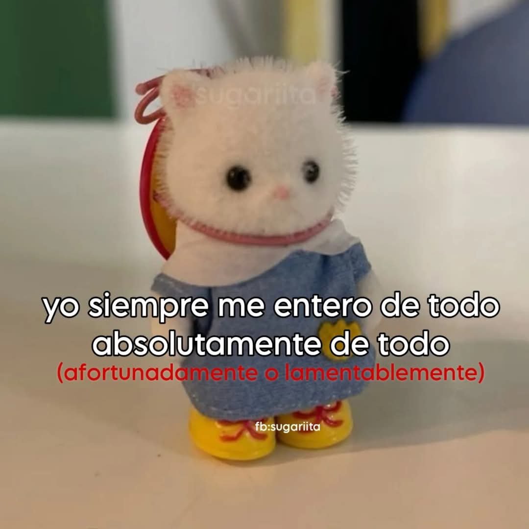 WandaRage's tweet photo. Current mood https://t.co/vhndGpqT4p