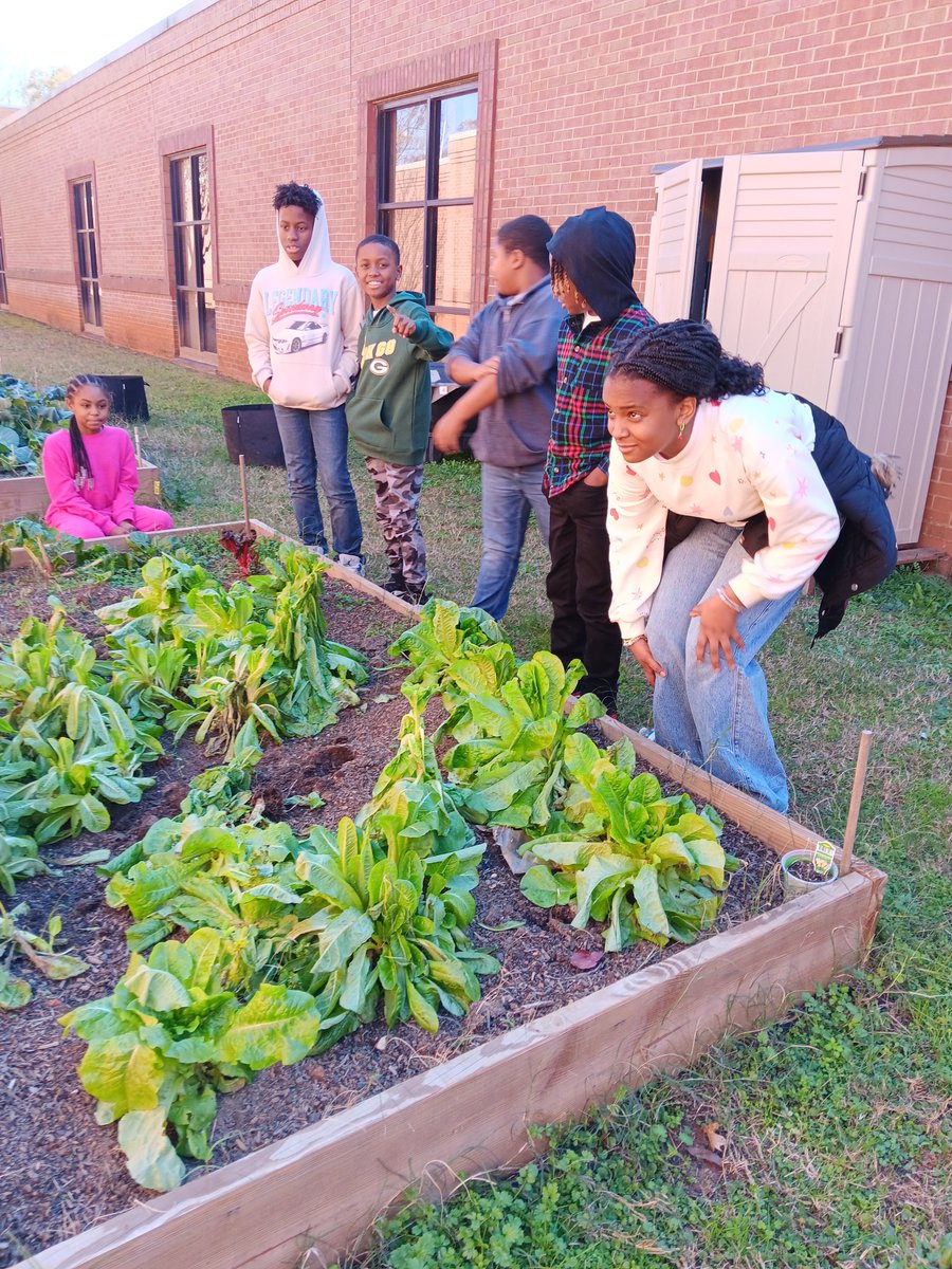 Willie Holmes (@hcs_wellness) on Twitter photo <a href="/OAK_HCS/">Oakland Elementary</a> students pulling the lettuce from the school garden to eat a garden salad today. Your health is your wealth.
<a href="/Johnsonandre_/">André Johnson</a> <a href="/HenryCountyBOE/">Henry County Schools</a> <a href="/FredricLatschar/">Fred Latschar</a> <a href="/HealthMPowers/">HealthMPowers</a> <a href="/OAK_HCS/">Oakland Elementary</a> students pulling the lettuce from the school garden to eat a garden salad today. Your health is your wealth.
<a href="/Johnsonandre_/">André Johnson</a> <a href="/HenryCountyBOE/">Henry County Schools</a> <a href="/FredricLatschar/">Fred Latschar</a> <a href="/HealthMPowers/">HealthMPowers</a>