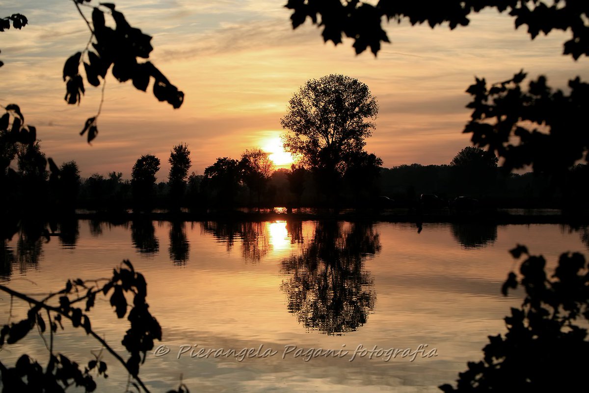 @ferrarisergio4 tweet media