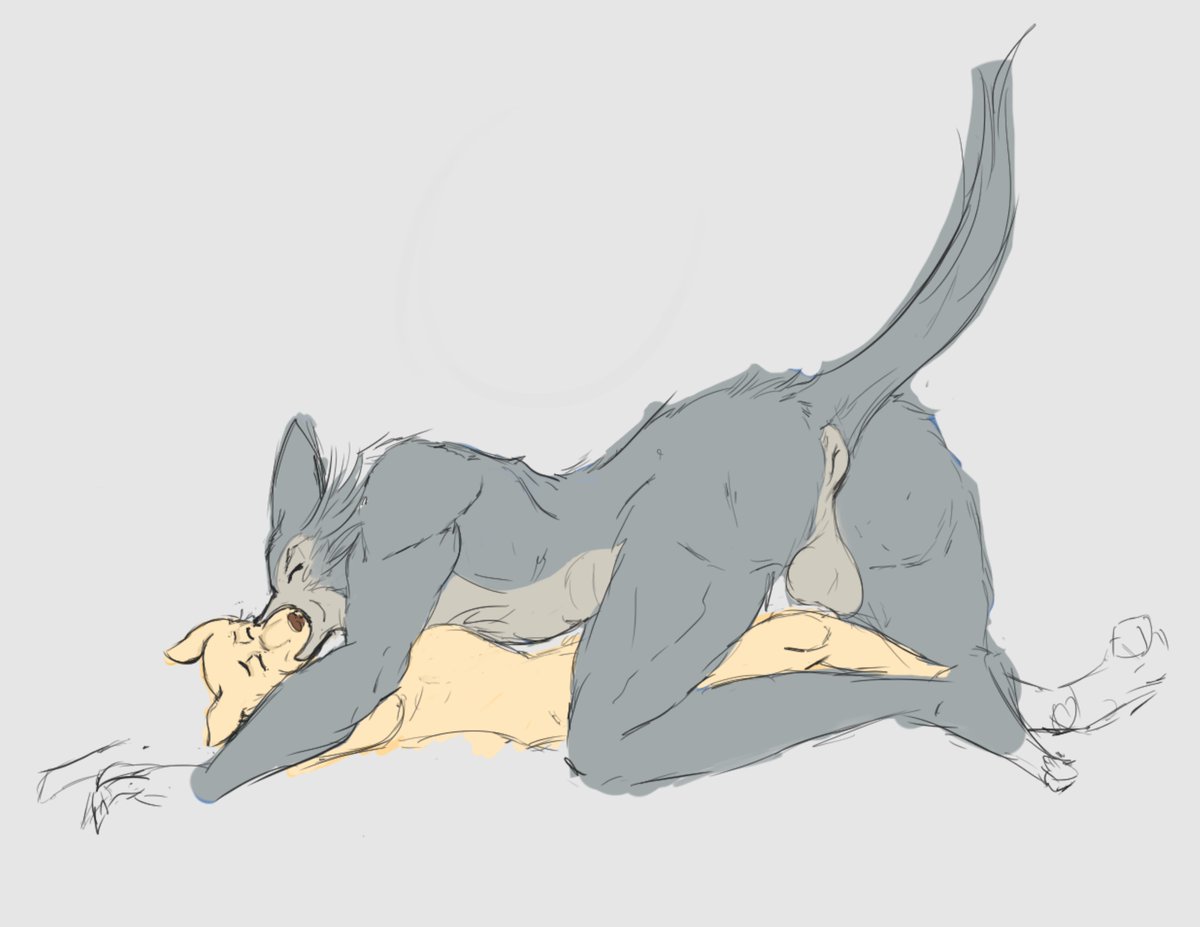 Beastars Final Season came out so here's an old sketch in hopes this becomes canon 🐶🐺