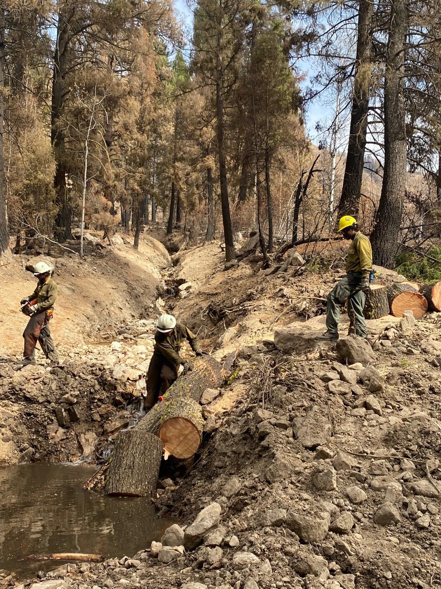 BSUResearch's tweet photo. On the evening of July 24, 2024, lightning lit a fire in the Sawtooth Mountains two miles southwest of Grandjean and 14 miles southwest of Stanley. This started the Wapiti Fire. @BoiseState researchers have been working to collect data ever since.

  https://t.co/KU5AAM7eOZ https://t.co/XHPuS6BfG9