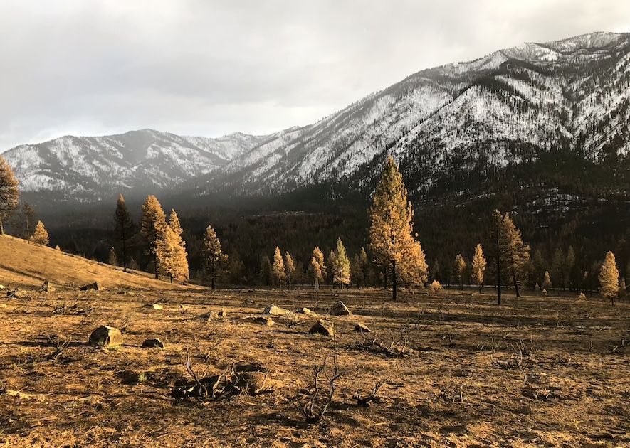 BSUResearch's tweet photo. On the evening of July 24, 2024, lightning lit a fire in the Sawtooth Mountains two miles southwest of Grandjean and 14 miles southwest of Stanley. This started the Wapiti Fire. @BoiseState researchers have been working to collect data ever since.

  https://t.co/KU5AAM7eOZ https://t.co/XHPuS6BfG9