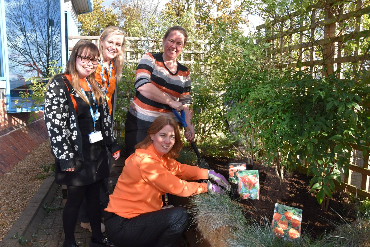 HertsSunflower tweet media