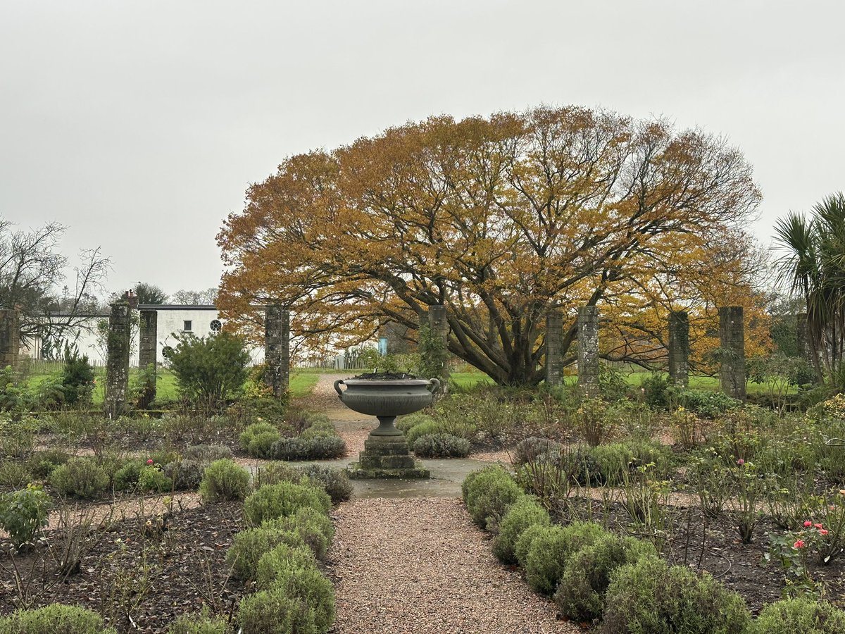 Carolin Göhler 🟢 land + scape (@landscape717) on Twitter photo Today discussions <a href="/NTmountstewart/">Mount Stewart</a> about visitor journey in Mansion + Garden together with colleagues of <a href="/NationalTrustNI/">National Trust NI</a> + across Irish Sea - great to explore the wonders of the property + visitor needs - a historic + horticultural gem for #families as much as for #curious minds Today discussions <a href="/NTmountstewart/">Mount Stewart</a> about visitor journey in Mansion + Garden together with colleagues of <a href="/NationalTrustNI/">National Trust NI</a> + across Irish Sea - great to explore the wonders of the property + visitor needs - a historic + horticultural gem for #families as much as for #curious minds