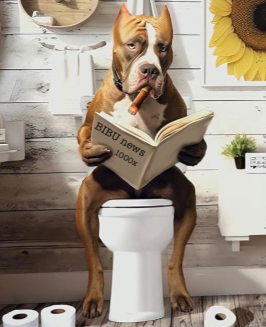 BibuToken's tweet image. $BIBU never stops. While reading about all the pumps and dumps, join our community that is growing organically daily.