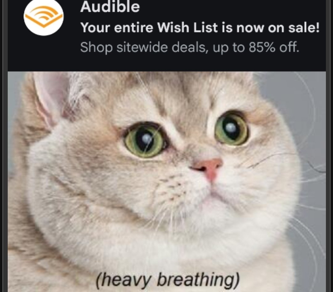 JohnJMurphyiv's tweet photo. @audible_com when that sale email hits: https://t.co/nQOCRTihmh