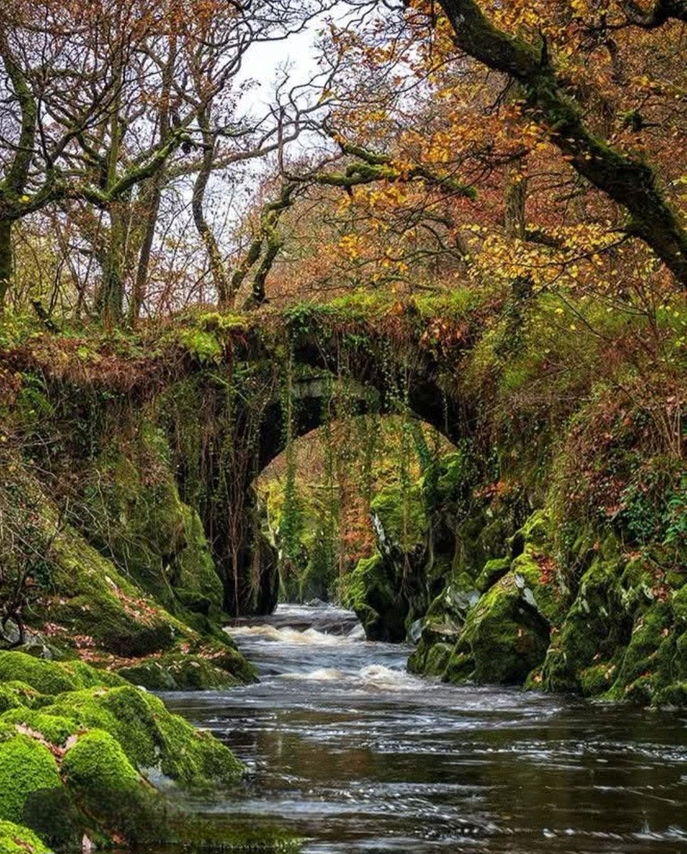 Edgard0Delgad0's tweet photo. 🌉✨ ¡Descubre el antiguo puente romano en Penmachno, Gales del Norte! Un lugar lleno de historia y belleza natural que te dejará sin aliento. 🌳💚
#RomanBridge #Penmachno #NorthWales #Historia #Naturaleza #Aventuras #TravelGoals #Viajes https://t.co/zLSq5QJ52X