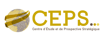 Dans le cadre de l'étroite collaboration entre le Think tank Ceides et Centre d'Études et de Prospective Stratégique (CEPS), la prochaine Matinale du Club Ubuntu sera introduite par Dr Christian Pout, Président du Think Tank Ceides, le 17 décembre 2024.