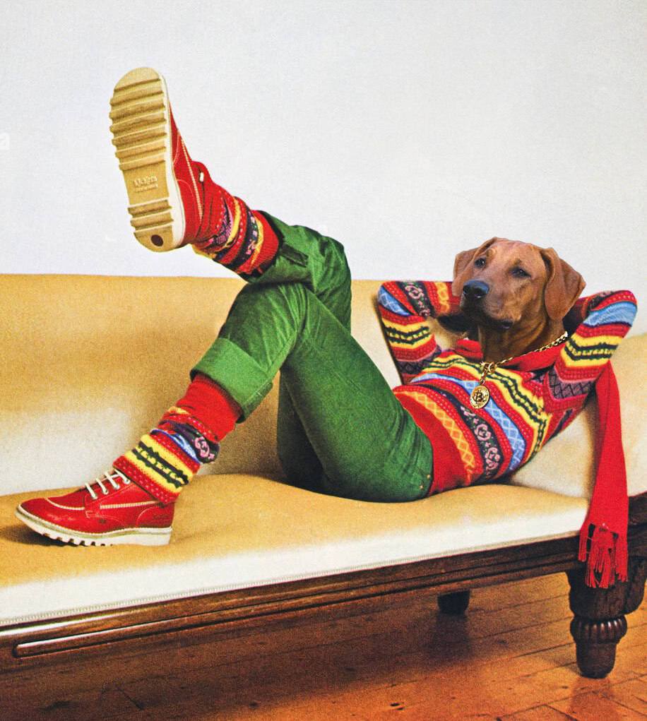 POV:

They’re airdropping you $ME for buying $ELSA.

Now you’re going to sell that $ME to buy more $ELSA.

Life is good.