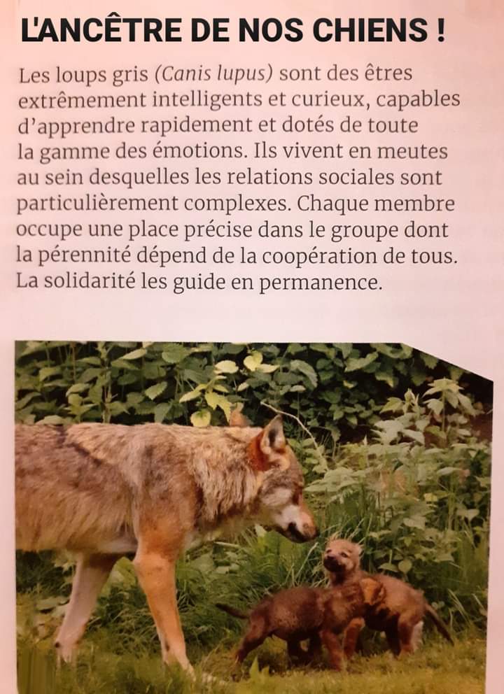 Adea Claude tweet media