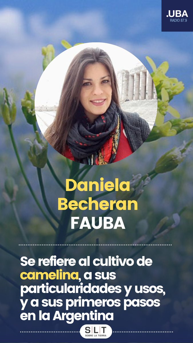 SLT_Divulgacion's tweet photo. Hoy 20 h🌈𝙎𝙇𝙏-𝙍𝙖𝙙𝙞𝙤🌈el programa de @AgronomiaUBA x @RadioUBA (https://t.co/zIMq4DN8h4) ¡Te esperamos!
🧵1/2

En 1r turno...
🟠𝗗𝗮𝗻𝗶𝗲𝗹𝗮 𝗕𝗲𝗰𝗵𝗲𝗿𝗮𝗻: camelina, un nuevo cultivo

#UBA #FAUBA #SLT #camelina #usos #posibilidades https://t.co/z2EipZUBD4