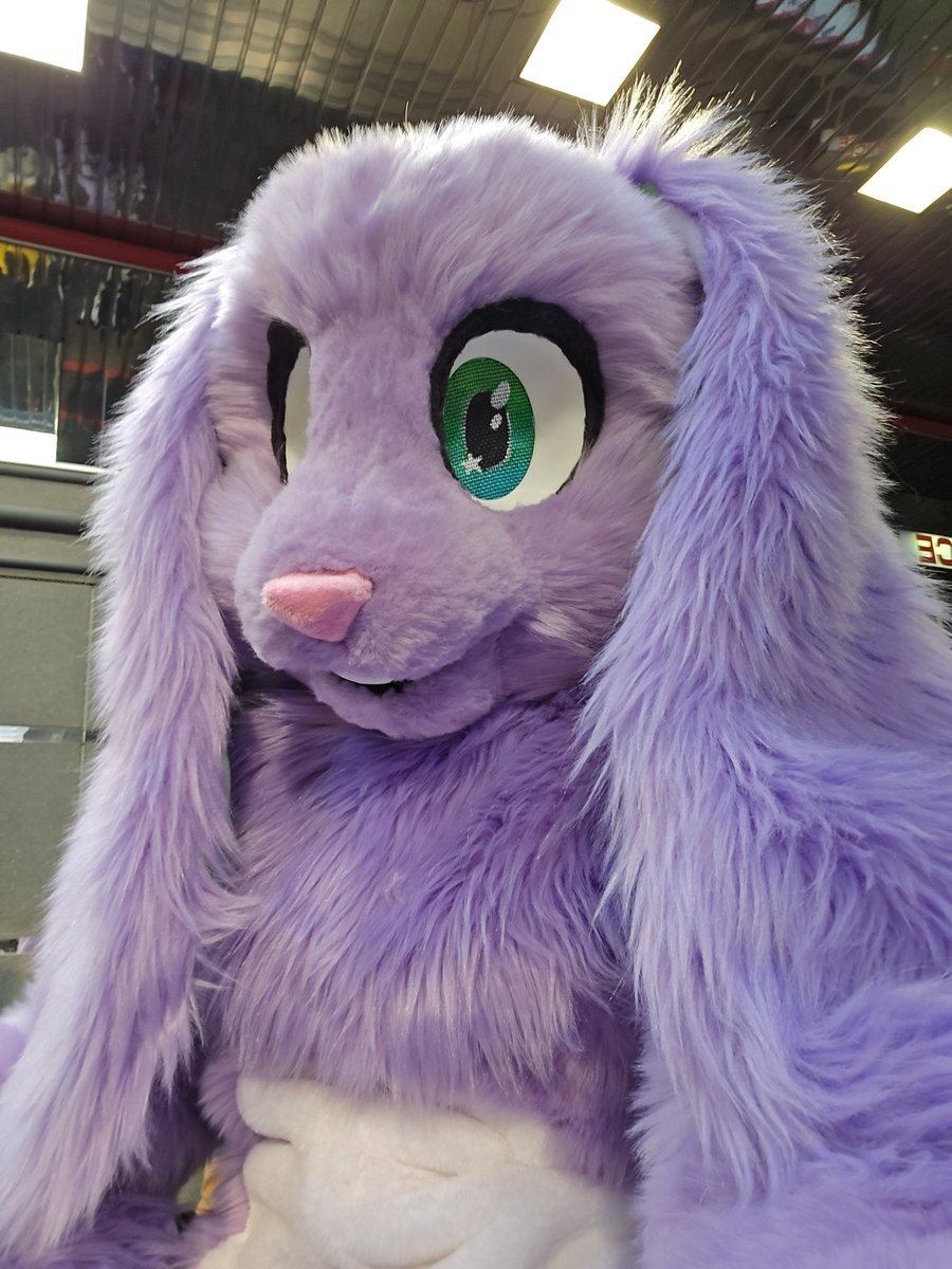 floppy bunny (@thatfloppybunny) on Twitter photo 