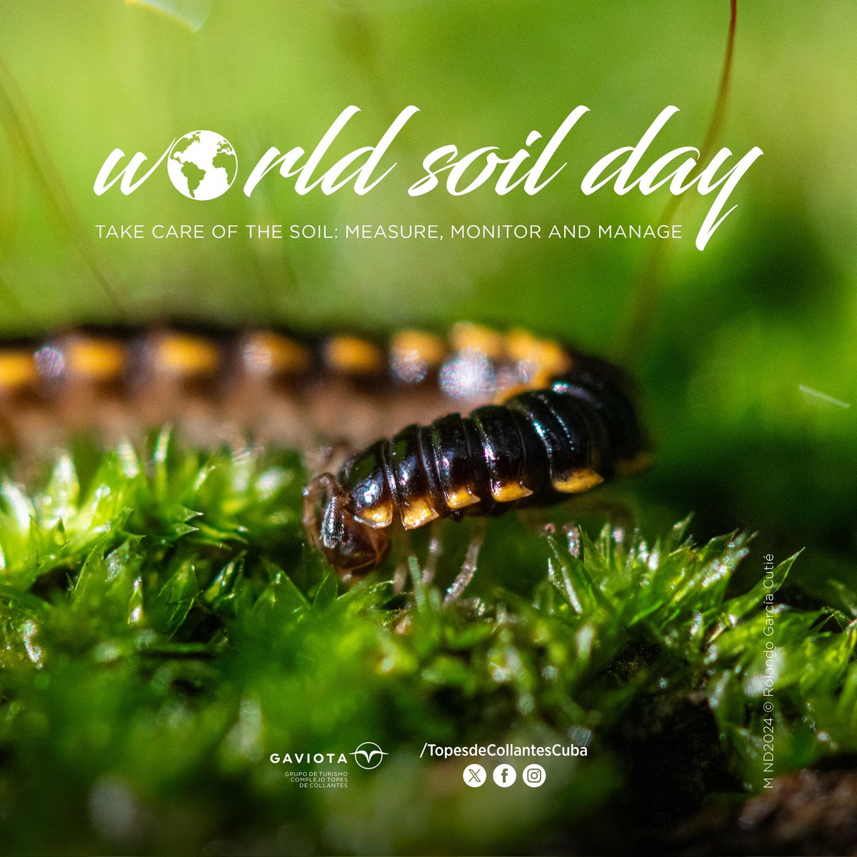 🌍 World Soil Day 🌱
.
📸Rolando García Cutié
.
#TopesDeCollantes #DestinosGaviota #GaviotaTurismo #Naturaleza #Viajes #Trip #Fotografía