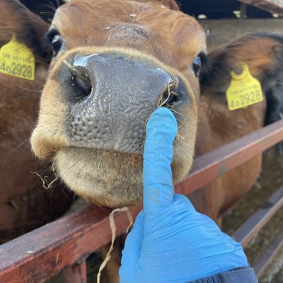 DebbieShukman's tweet photo. #NewProfilePic https://t.co/OkGRuW1Uyl