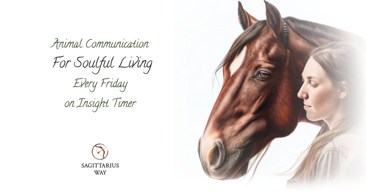 Sagittarius Way tweet media