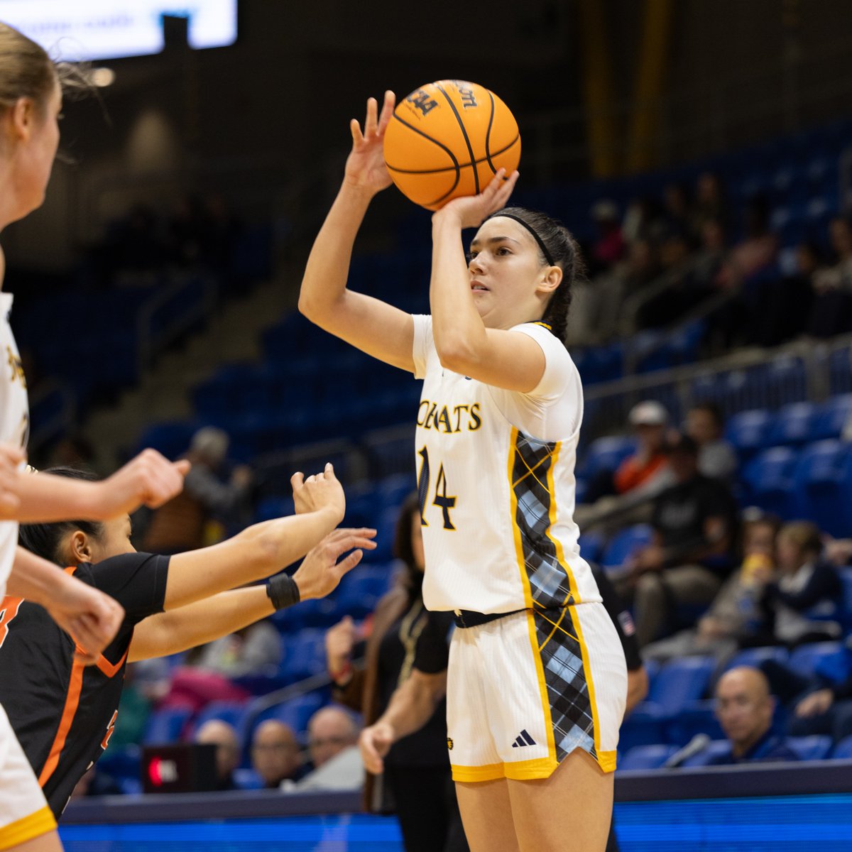 𝐑𝐀𝐈𝐍𝐈𝐍𝐆 𝐅𝐑𝐎𝐌 𝐓𝐇𝐑𝐄𝐄 ☔ 

The Bobcats currently sit 1️⃣st in the MAAC and 7️⃣th in the NCAA in three-point percentage!!

#BeGreatToday