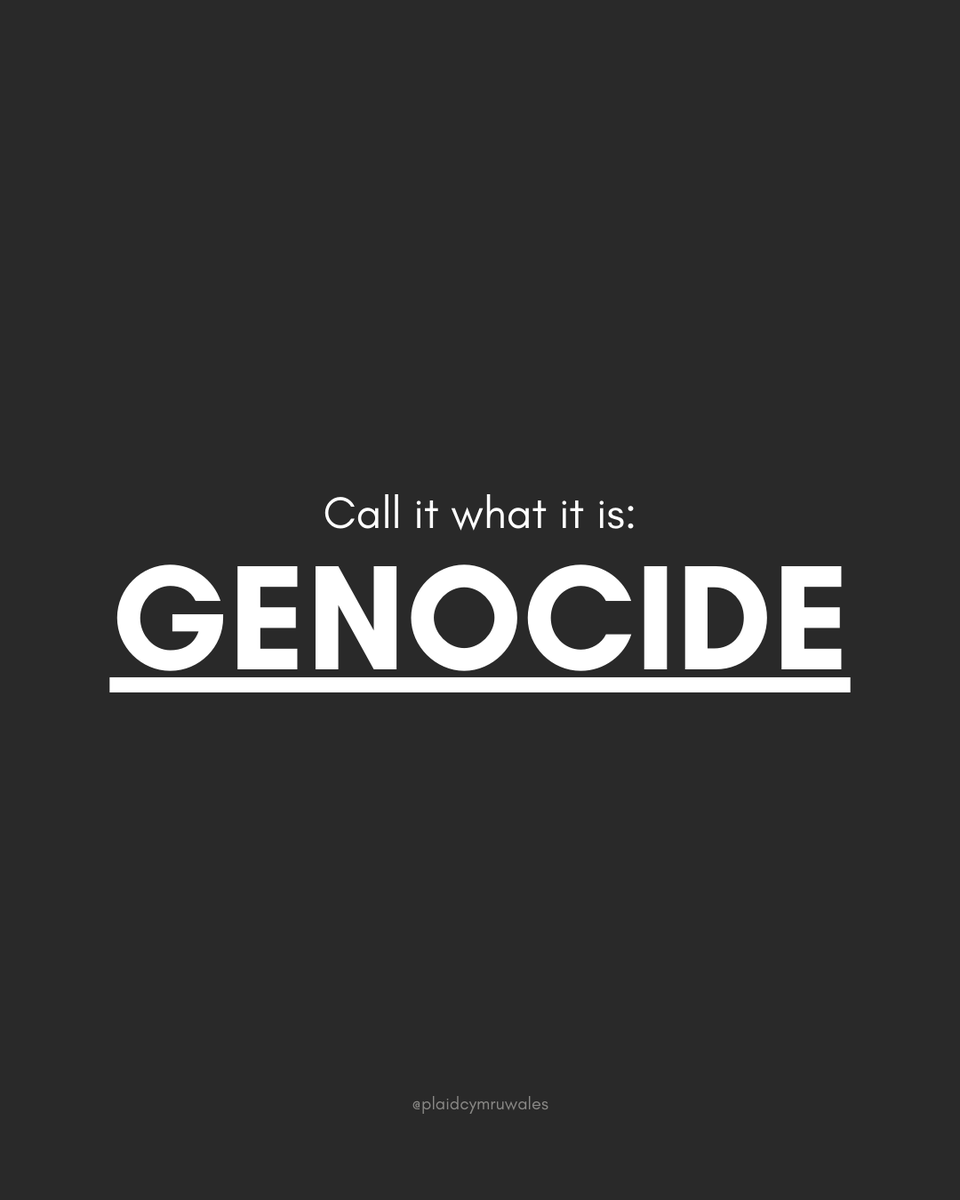 Today, Amnesty International has declared that the Israeli Government is committing genocide against Palestinians.

The UK Government must stop its complicity and end all arms sales to Israel now.
